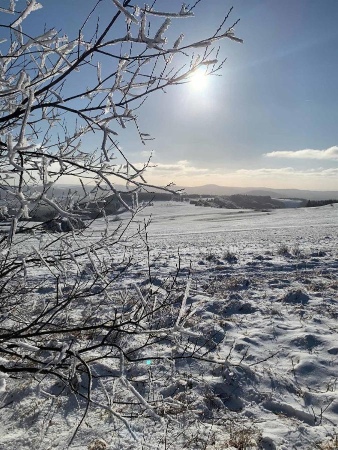 Ferienwohnung Stirnbergblick Ehrenberg  Zewnętrze zdjęcie