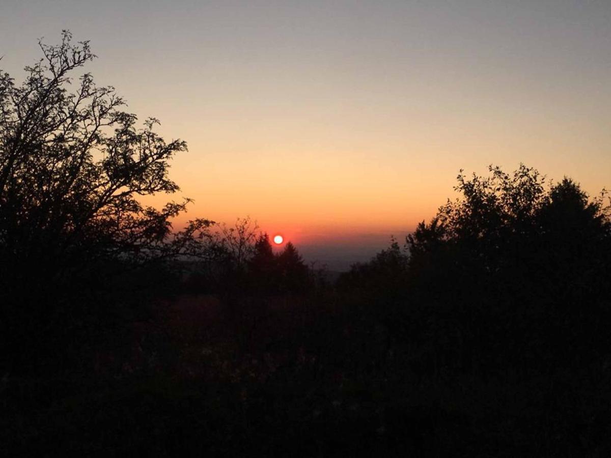 Ferienwohnung Stirnbergblick Ehrenberg  Zewnętrze zdjęcie